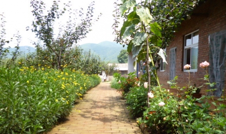 Fragrance of fruits in the 1st branch