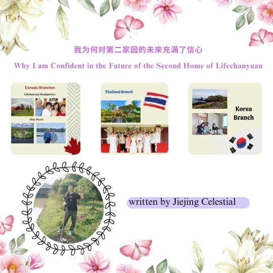 DJI Care丨大疆创新正式推出一年两次换新服务！