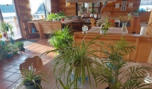 The Signs of Spring in the Cold Season of Canada Branch