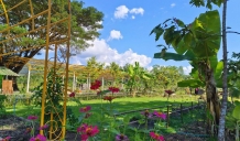 Lifechanyuan Experience Camp:A Glimpse of Heaven on Earth