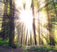 What is Sustainable Living?