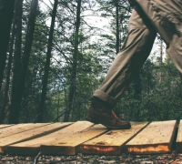 How to Reduce Your Family’s Carbon Footprint