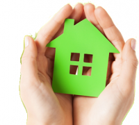 7 Green Living Tips You Can Apply At Home