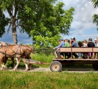 Plowshare Farm