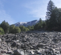 Rock Garden Springs