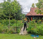 Malaysian Friend Alex Visits Thailand's Home of Lifechanyuan