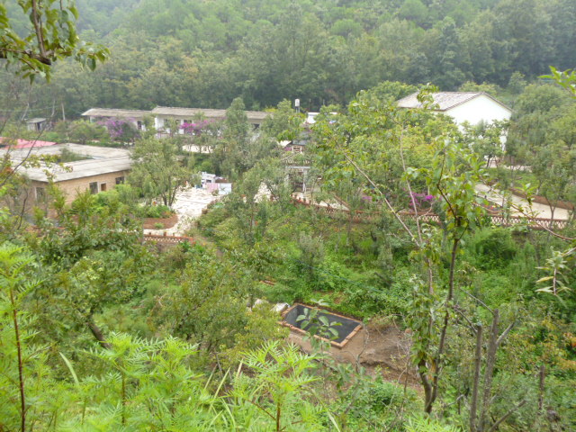 183.jpg
