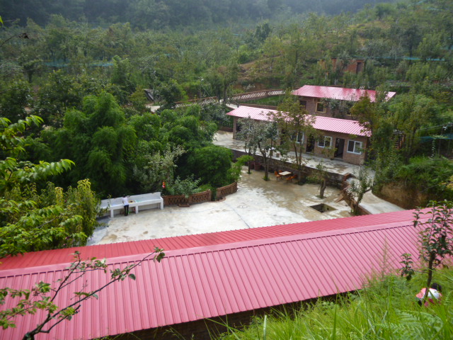 184.jpg