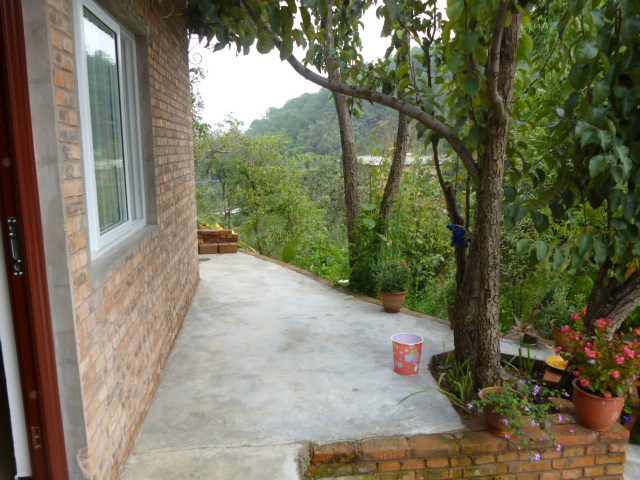 185.jpg