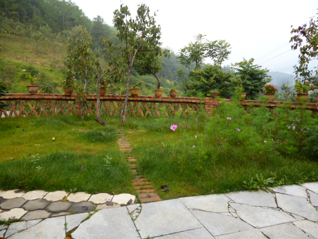 187.jpg