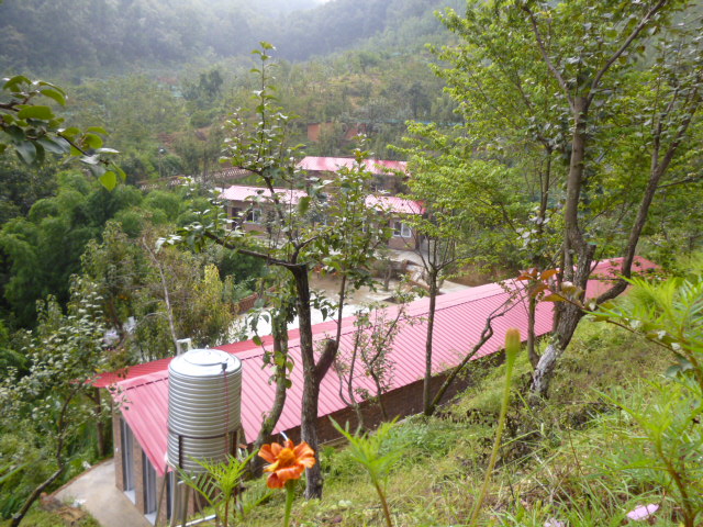 189.jpg