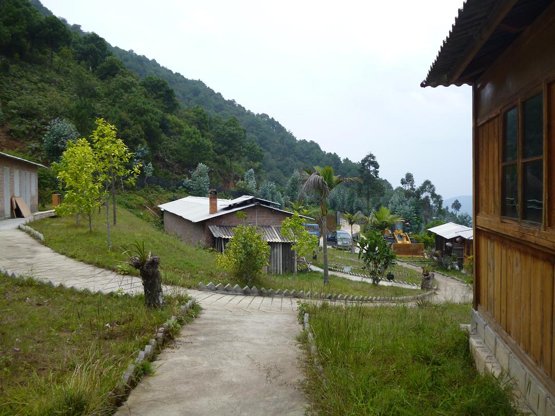 225.jpg