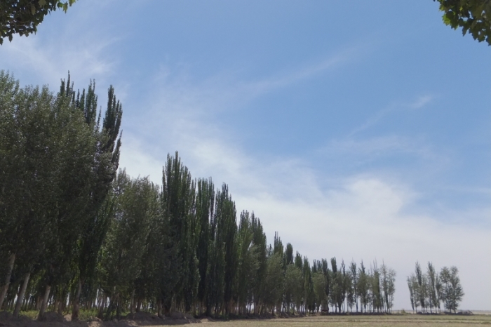 161840qq07h2abqbxwl67b.jpg