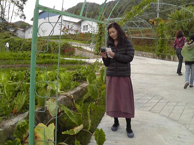 165430iw4j4vvxvsx3ukvw.jpg