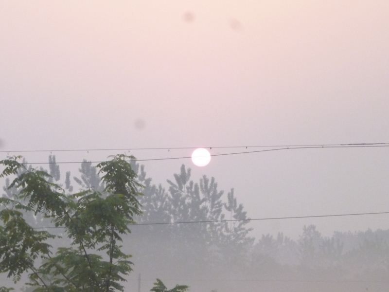 132340b6sslfes54zgs9lm.jpg