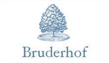 logo.gif
