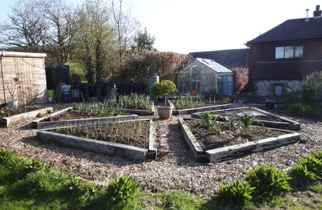 VegGarden.jpg