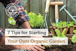 organic-garden-blog-300x200.jpg