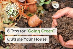 going-green-blog-300x200.jpg