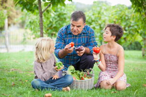 easysteps_photo_ES10_organics_vegetables-504x334-300x199.png