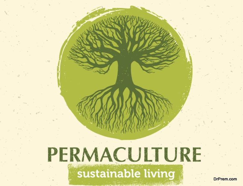 Permaculture-Garden.jpg