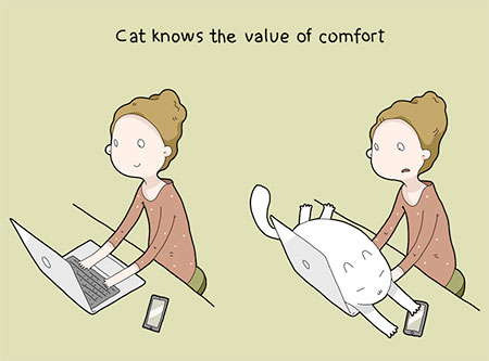 benefitsofcats07.jpg