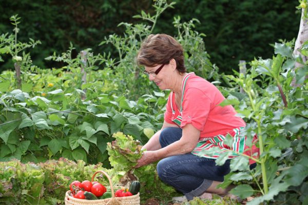 bigstock-Senior-woman-picking-vegetable-16987214-e1474928225495.jpg