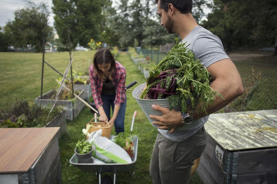 man-carrying-bucket-full-of-vegetables-looking-at-woman-working-at-urban-garden-.jpg