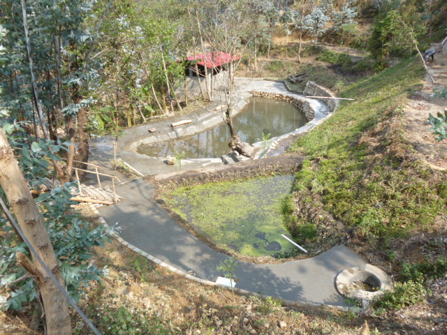 647.jpg