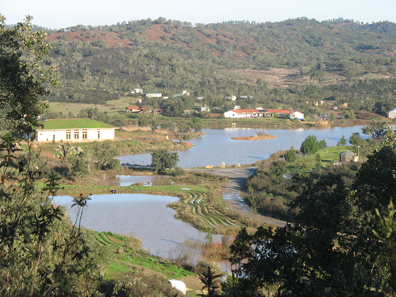 Water_Retention_Landscape_of_Tamera_26_59982ef985fdf.jpg