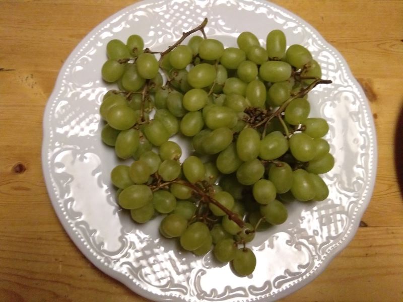 68.jpg