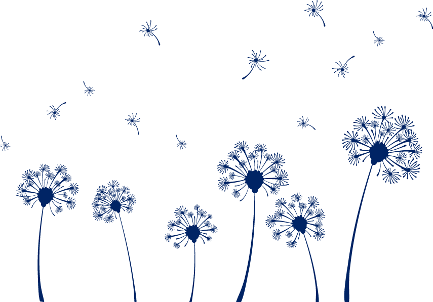 蒲公英.png
