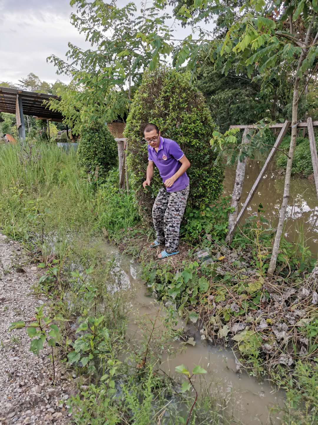 59.jpg