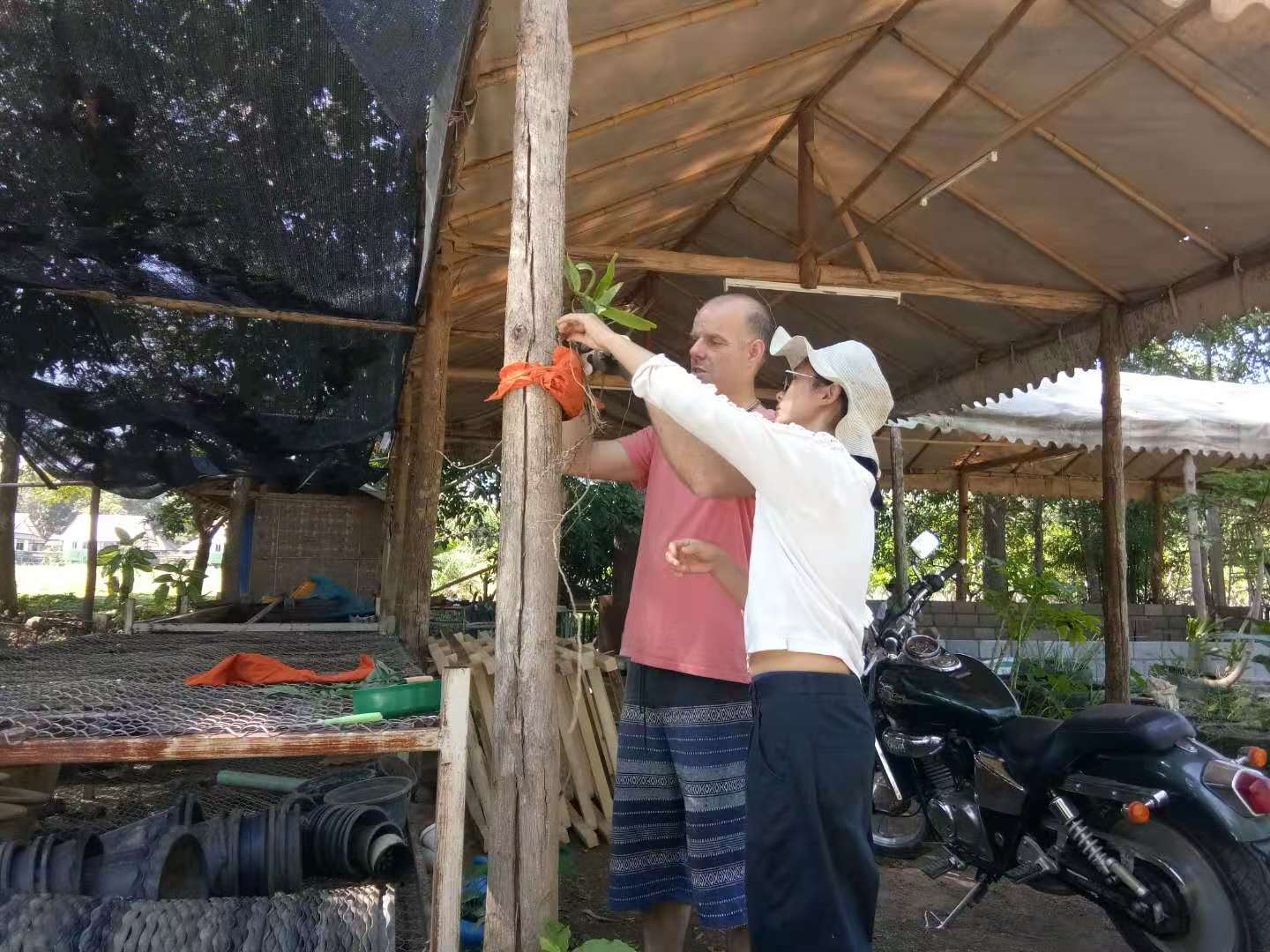 32.jpg