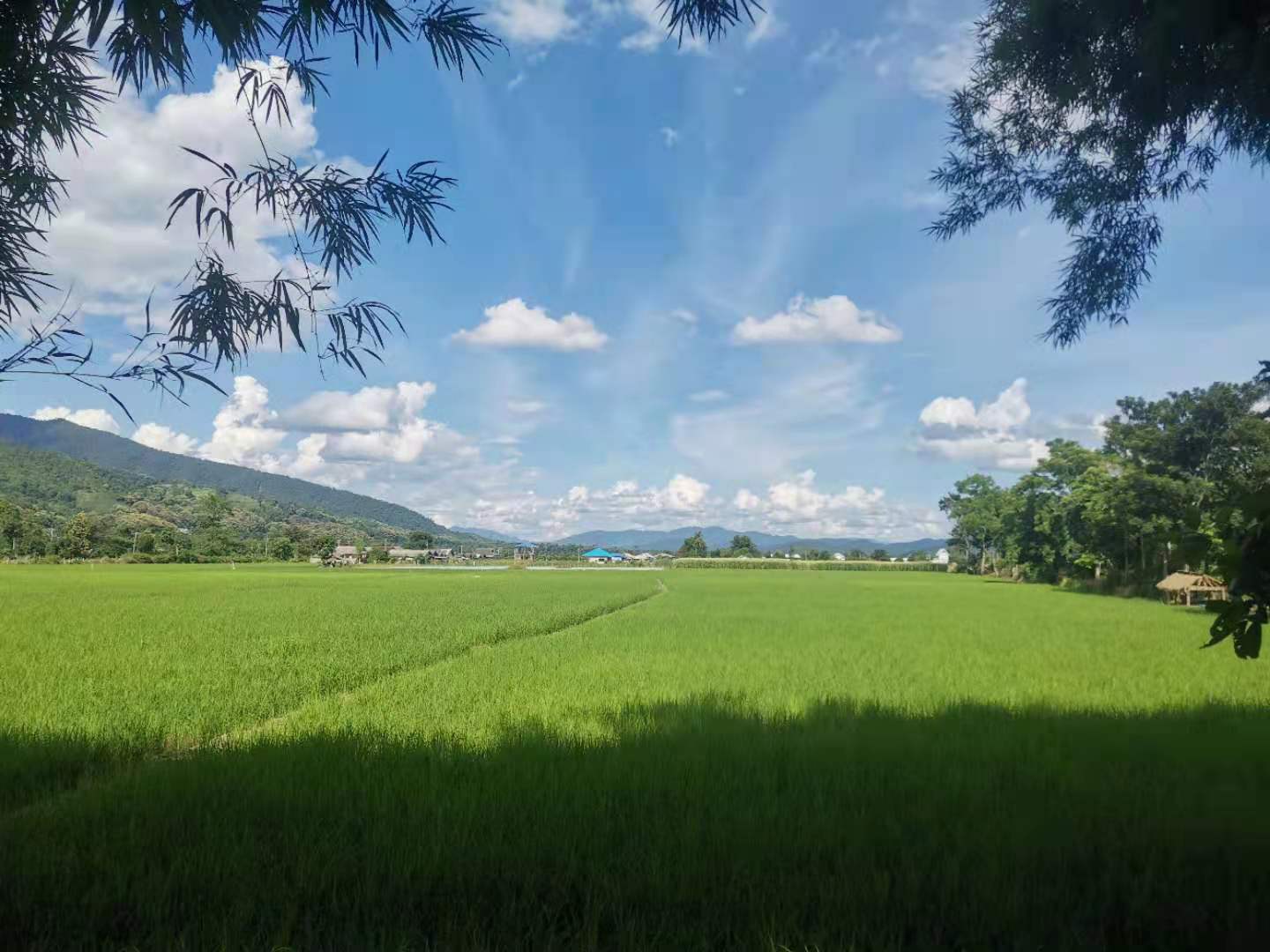 70.jpg