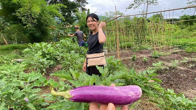89.jpg