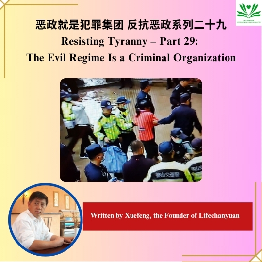 DJI Care丨大疆创新正式推出一年两次换新服务！