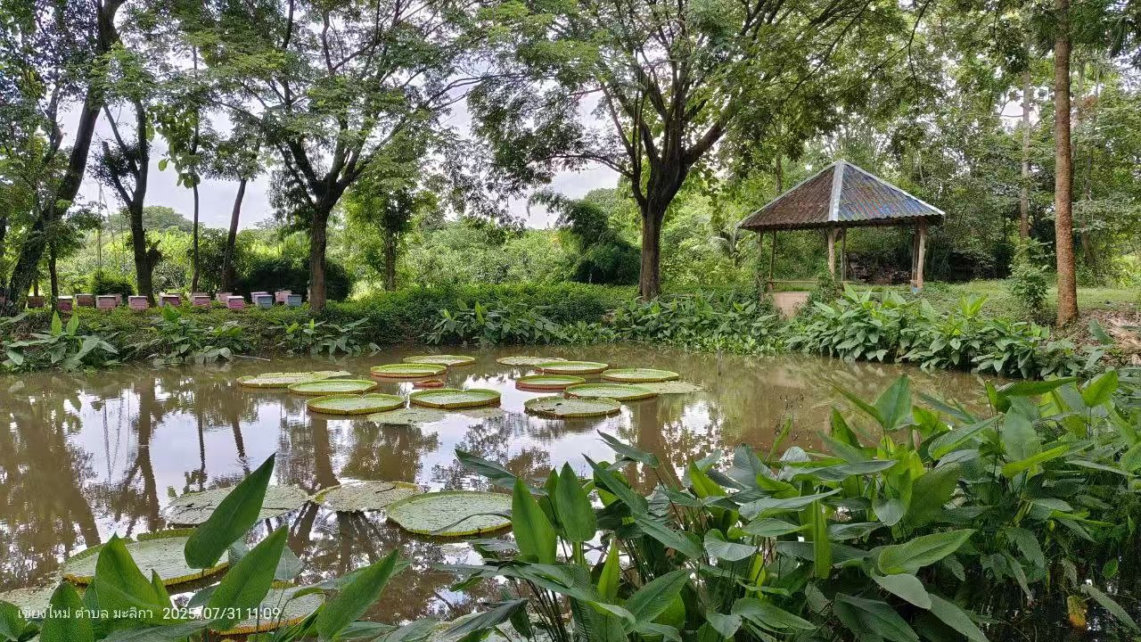 80.jpg