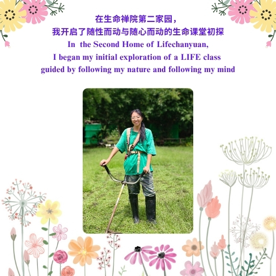 DJI Care丨大疆创新正式推出一年两次换新服务！