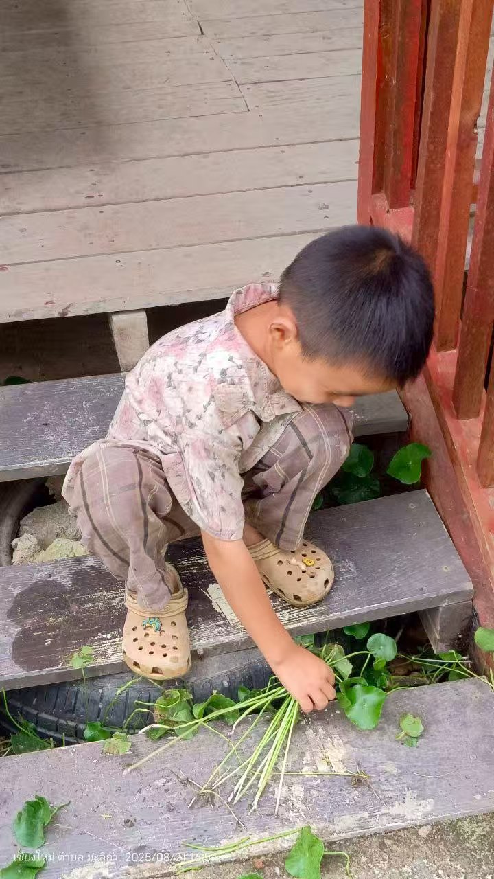 35.jpg