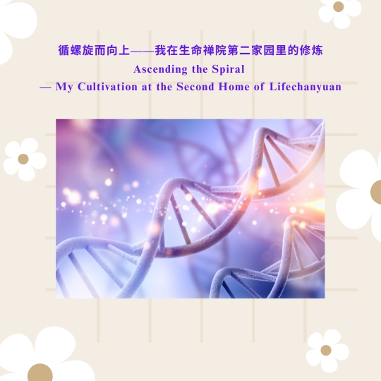DJI Care丨大疆创新正式推出一年两次换新服务！