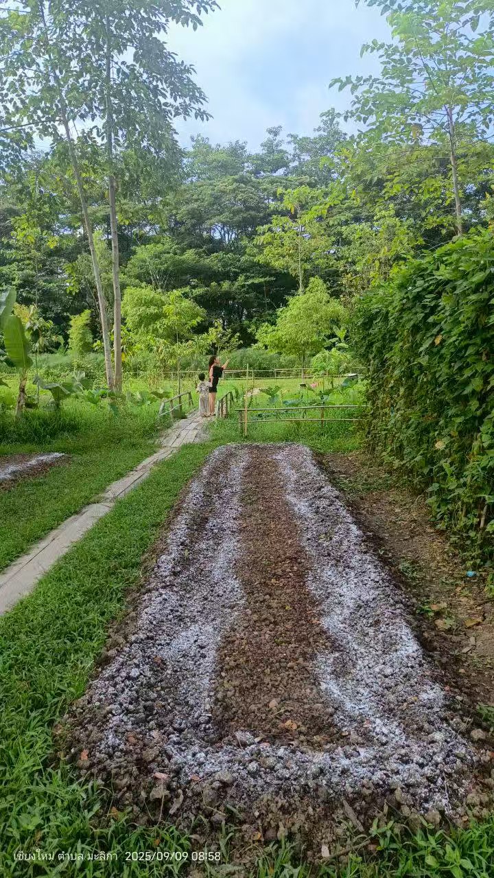 38.jpg