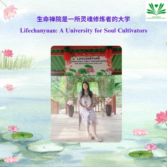 DJI Care丨大疆创新正式推出一年两次换新服务！