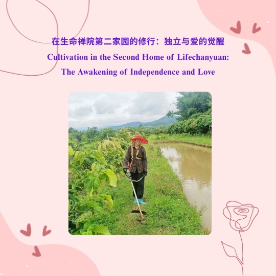 DJI Care丨大疆创新正式推出一年两次换新服务！