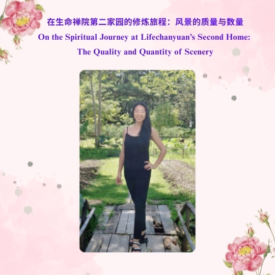 DJI Care丨大疆创新正式推出一年两次换新服务！