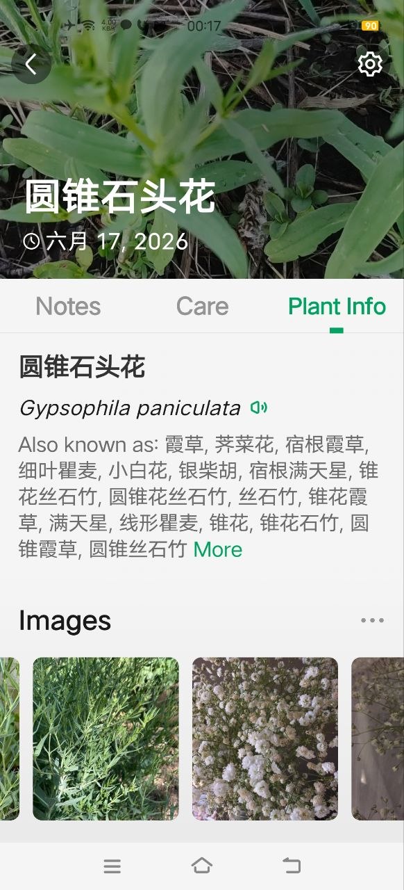 152433qlclhn9h5p1uooun.jpg